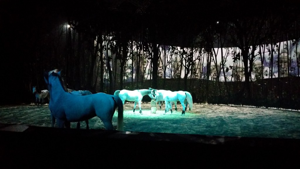 Cavalia Odysseo